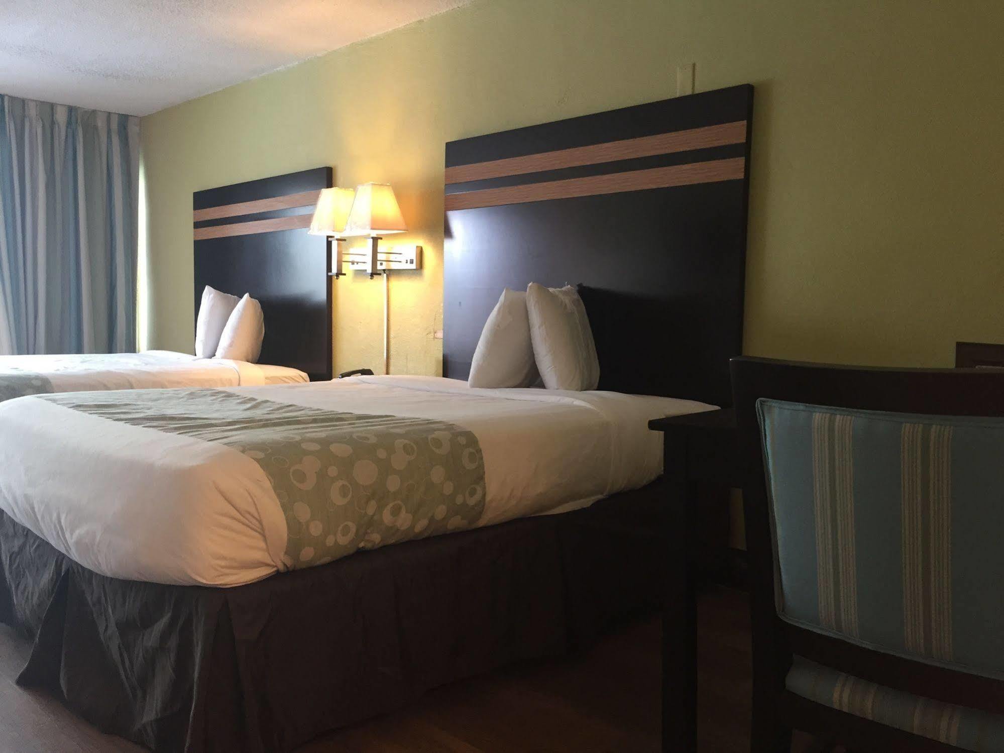 Blu Atlantic Hotel & Suites マートルビーチ エクステリア 写真